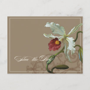 Cartão Postal De Anúncio Taupe da orquídea de Cattleya - salvar o cartão
