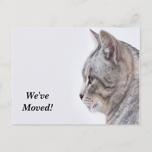 Cartão Postal De Anúncio Tiffany, movemos o novo cartão-postal de endereço (Frente)