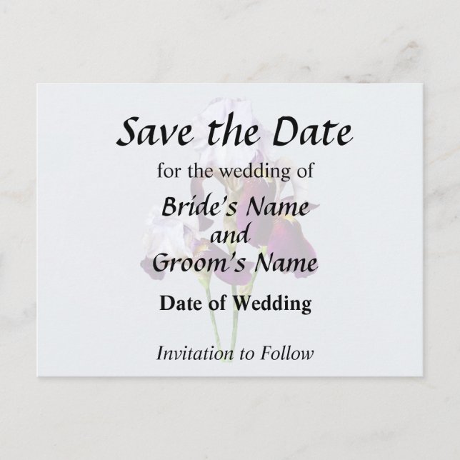 Cartão Postal De Anúncio Três Írises em Tons de Magenta (Frente)