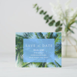 Cartão Postal De Anúncio Tropical Palm Beach Orçamento Casamento Salve a Da