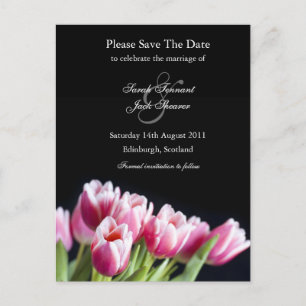 Cartão Postal De Anúncio Tulip Rosa Salve O Cartão-Postal De Data