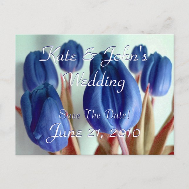 Cartão Postal De Anúncio Tulipas Azuis (Frente)