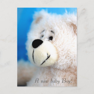 Cartão Postal De Anúncio Urso Azul