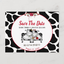 Cartão Postal De Anúncio Vacas de Casamento Divertidas Salvem o Cartão-Post