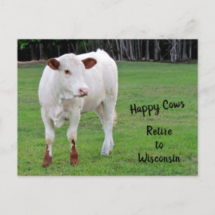 Cartão Postal De Anúncio Vacas felizes Novo Endereço / Mudança de Endere