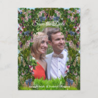 Vides, Madressilvas e Beija-flores