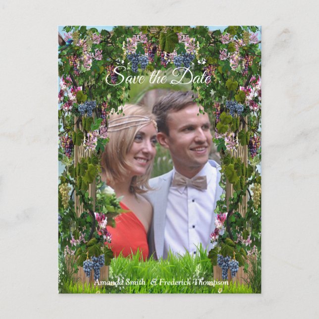 Cartão Postal De Anúncio Vides, Madressilvas e Beija-flores (Frente)