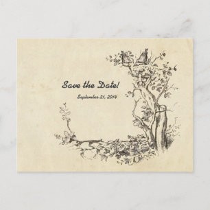 Cartão Postal De Anúncio Vintage Birds Cream Salvar Data