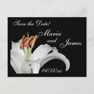 Cartão Postal De Anúncio White Lily Salve a Data