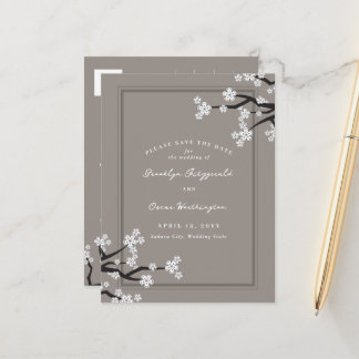 Cartão Postal De Anúncio White Sakura Cherry Blossoms Asiáticos Salvar Data