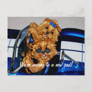 Cartão Postal De Anúncio Yorkies~ Estamos a mudar para um novo bloco! Cartõ
