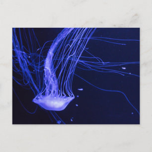 Cartão postal de apartamento com vista para o mar 