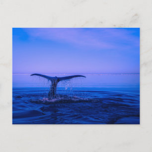 Cartão Postal de Apartamento com Vista para o Mar 