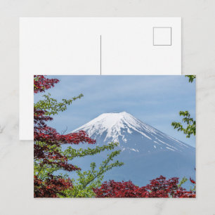 Cartão Postal de Apartamento com Vista para o Mar 