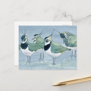 Cartão Postal de Aquarela da Vida Selvagem do Aman
