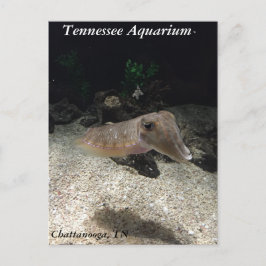 Cartão postal de Aquário do Tennessee