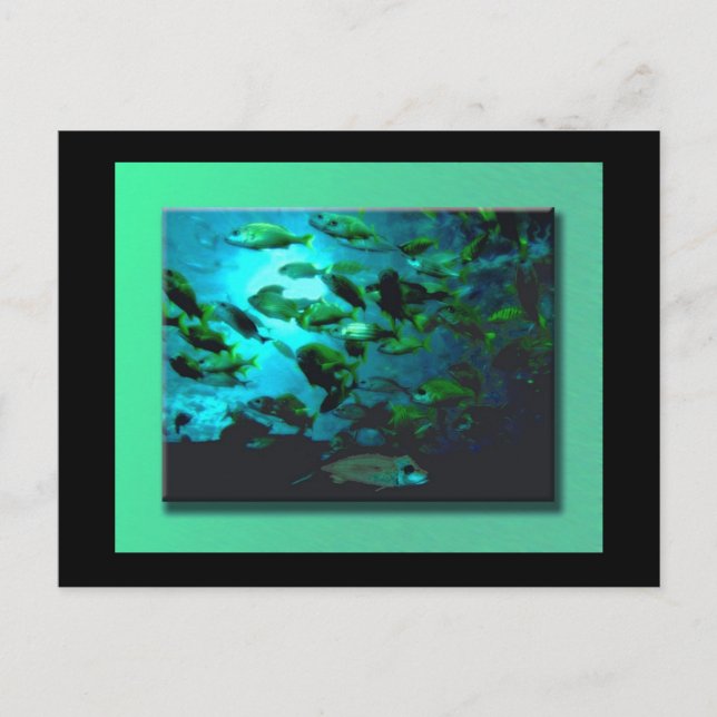 Cartão postal de Aquário GA (Frente)