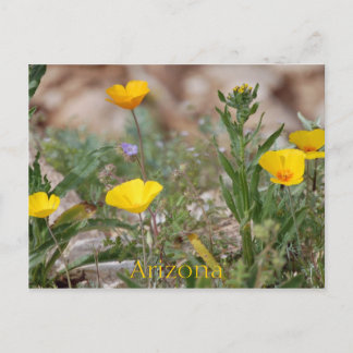 Cartão postal de arizona