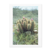 Cartão postal de Arizona do Desert Blooms Cactus S
