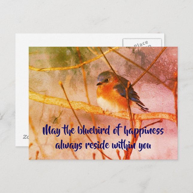 Cartão postal de arte da natureza do pássaro azul  (Frente/Verso)