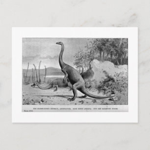 Cartão postal de arte de Anchisaurus