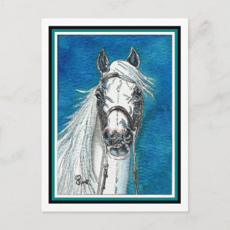Cartão postal de Arte do Cavalo Andaluz