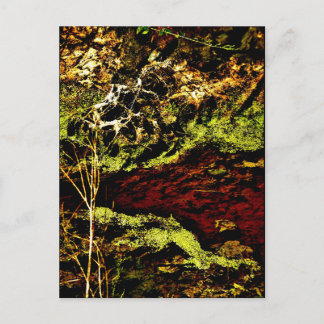 Cartão postal de Arte JTG "Algae Canal Fallon"