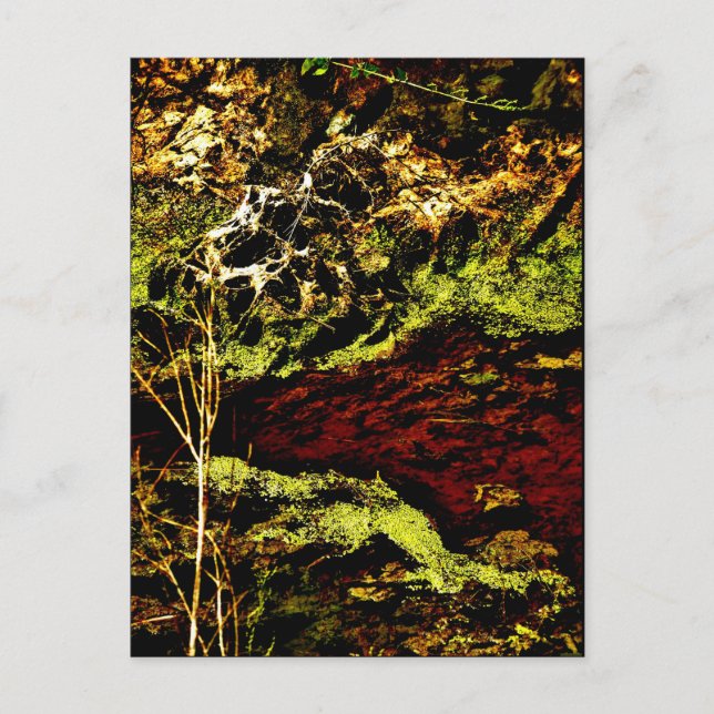 Cartão postal de Arte JTG "Algae Canal Fallon" (Frente)