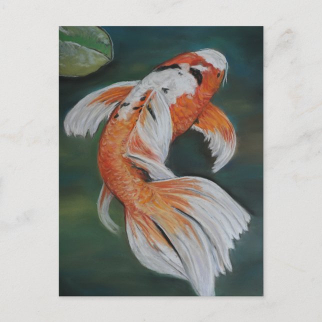 Cartão postal de Arte para Peixes de Borboleta Koi (Frente)