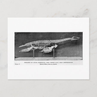 Cartão postal de arte Plesiosaur