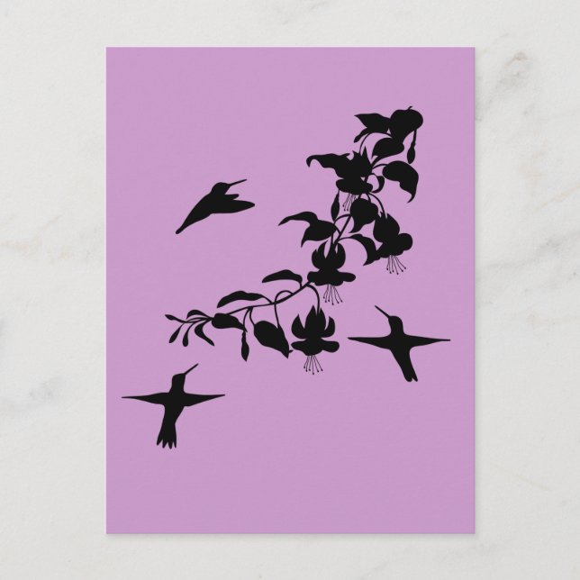 Cartão postal de aves (Frente)