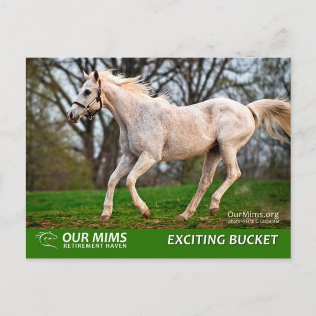 Cartão postal de Balde excitante (Frente)