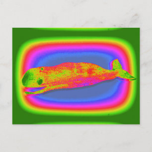 cartão postal de baleia psicodélica sorridente