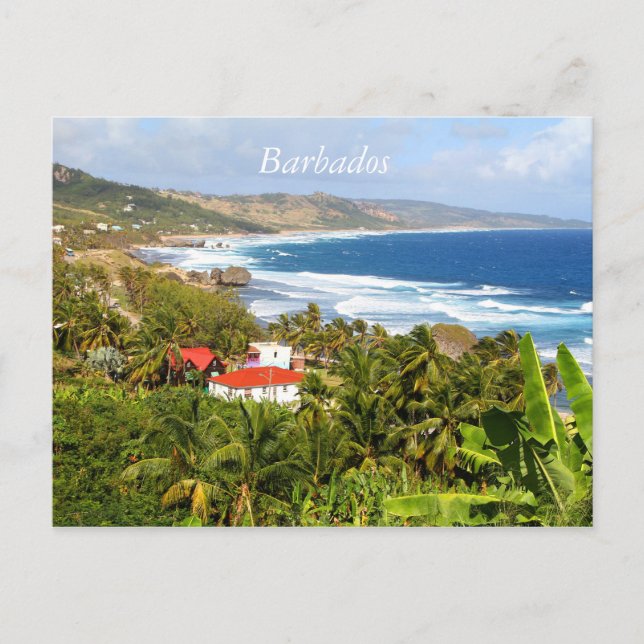 Cartão postal de Barbados, Oceano, árvores tropica (Frente)