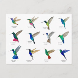 Cartão postal de beija-flores