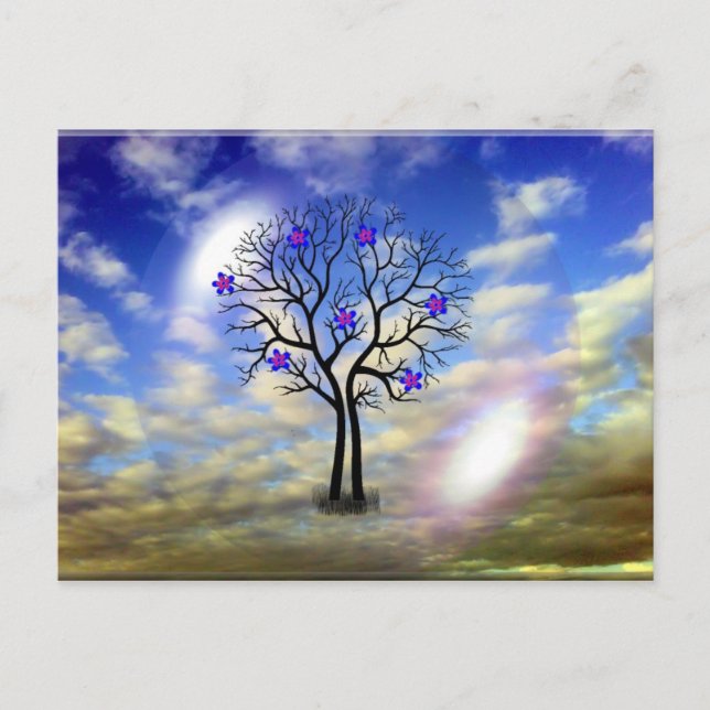 Cartão Postal de Beleza (Frente)