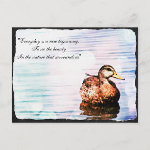 Cartão Postal de Beleza de Pato