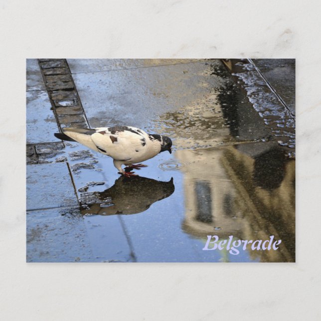 Cartão postal de Belgrado (Frente)