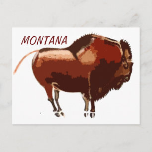 cartão postal de bison Montana pintado