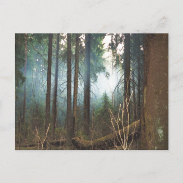 cartão postal de bosques fumegantes (Frente)
