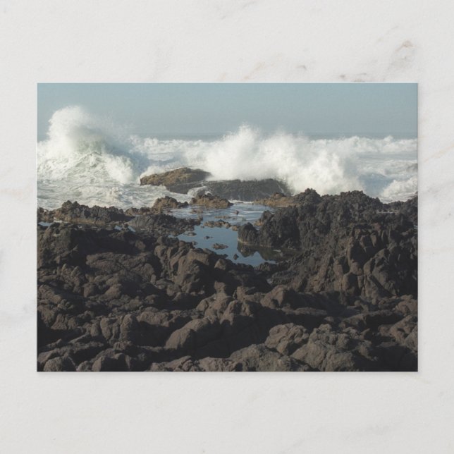 Cartão postal de Brookings, Oregon (Frente)