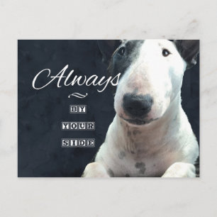 Cartão postal de Bull Terrier "Sempre ao seu lado"