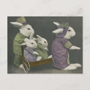 Cartão postal de Bunnies Domingo