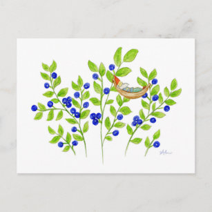 Cartão postal de Bush Gnome Blueberry