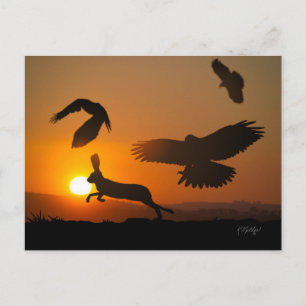 Cartão Postal de Caça de Falcões de Harris