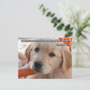 Cartão Postal de Cachorrinho Cristão