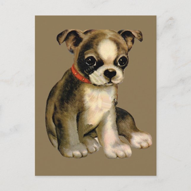 Cartão postal de cachorrinho retrô (Frente)