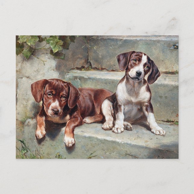 Cartão postal de cachorrinhos antigos (Frente)