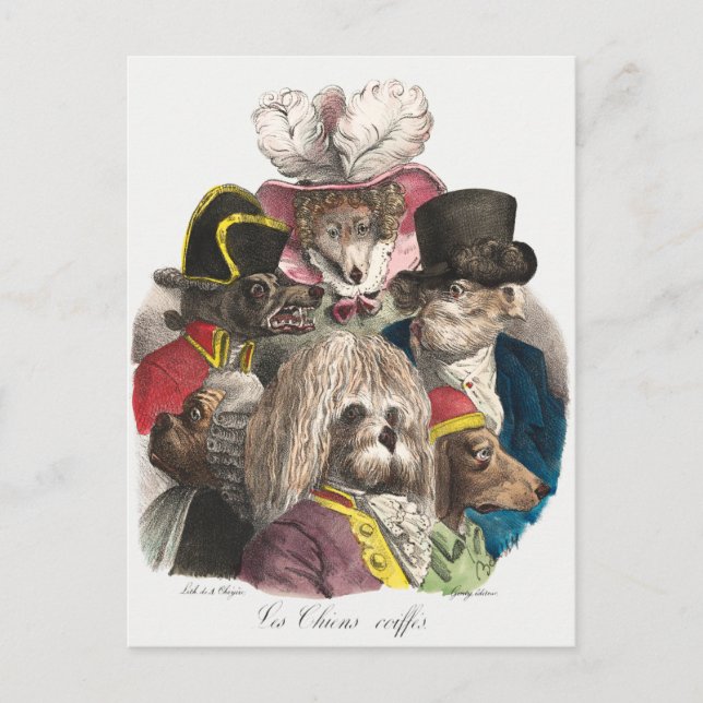 Cartão postal de cachorrinhos antigos (Frente)