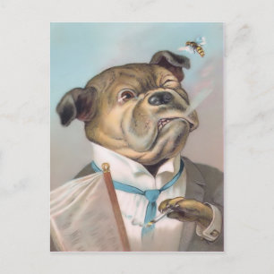 Cartão postal de cachorro de negócios retrô